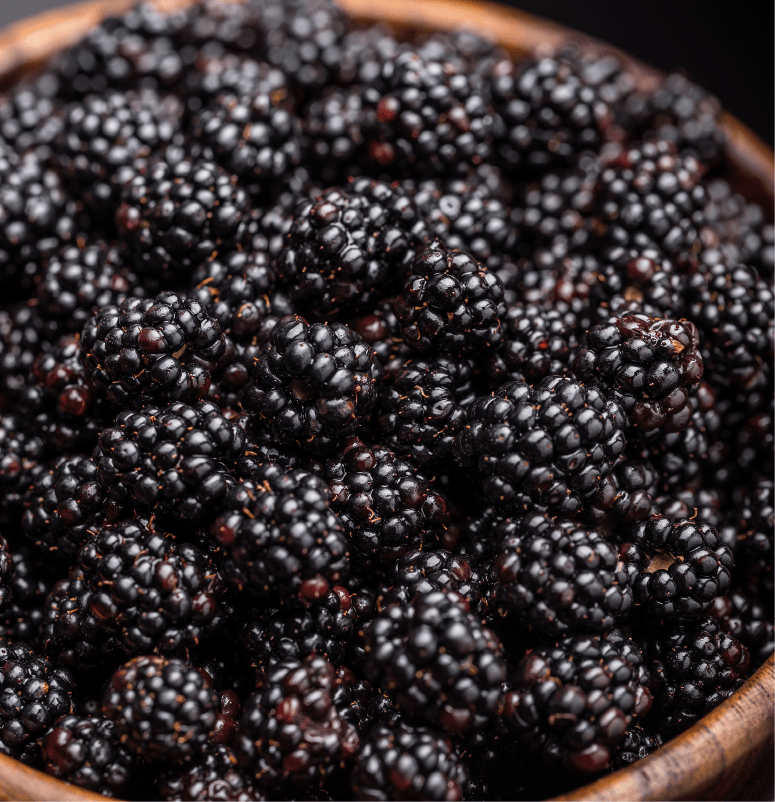 NEW BLACKBERRY VARIETY FOR BREWING - Aseptic Fruit Purees | West Coast US