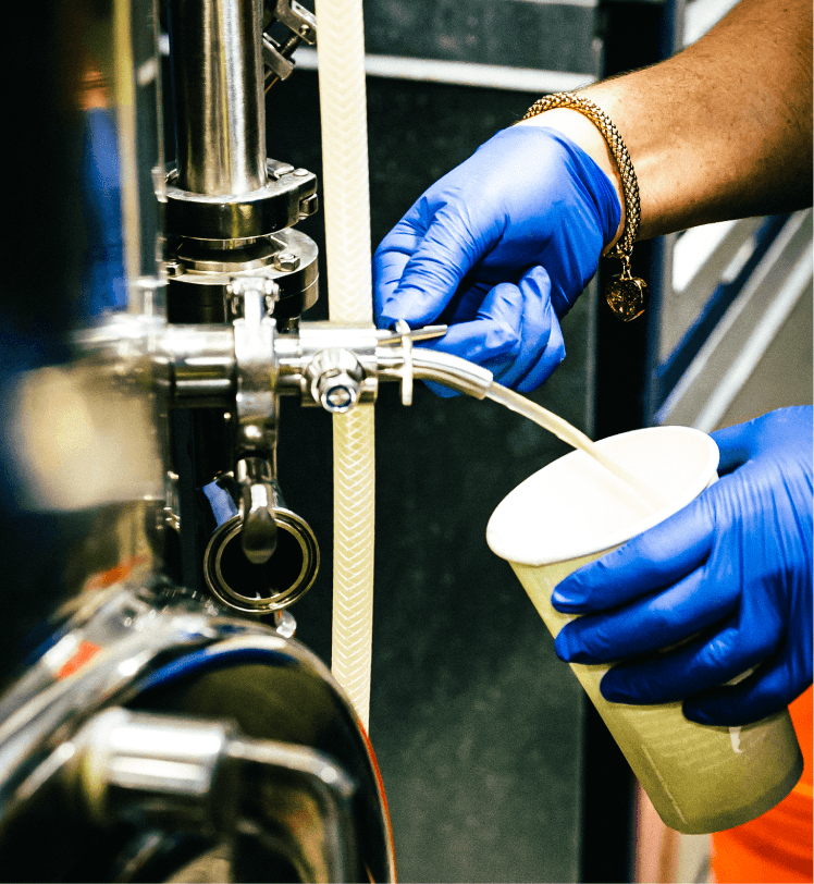 MAKING A CLEAR FRUIT BEER WHEN USING ASEPTIC FRUIT PUREES - Aseptic Fruit Purees | West Coast US