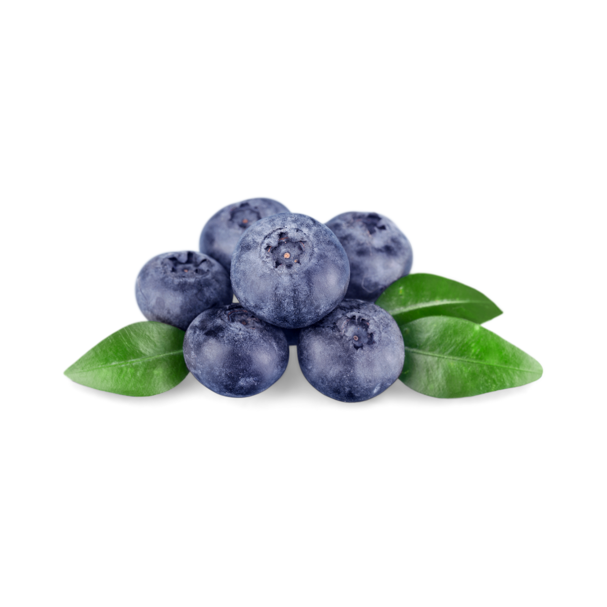 Blueberry