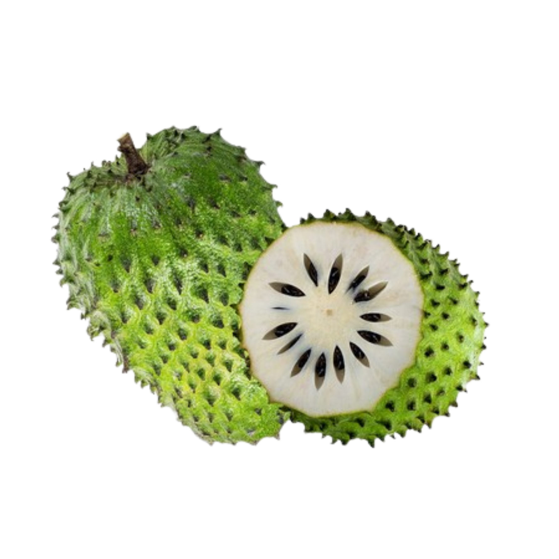 Soursop 